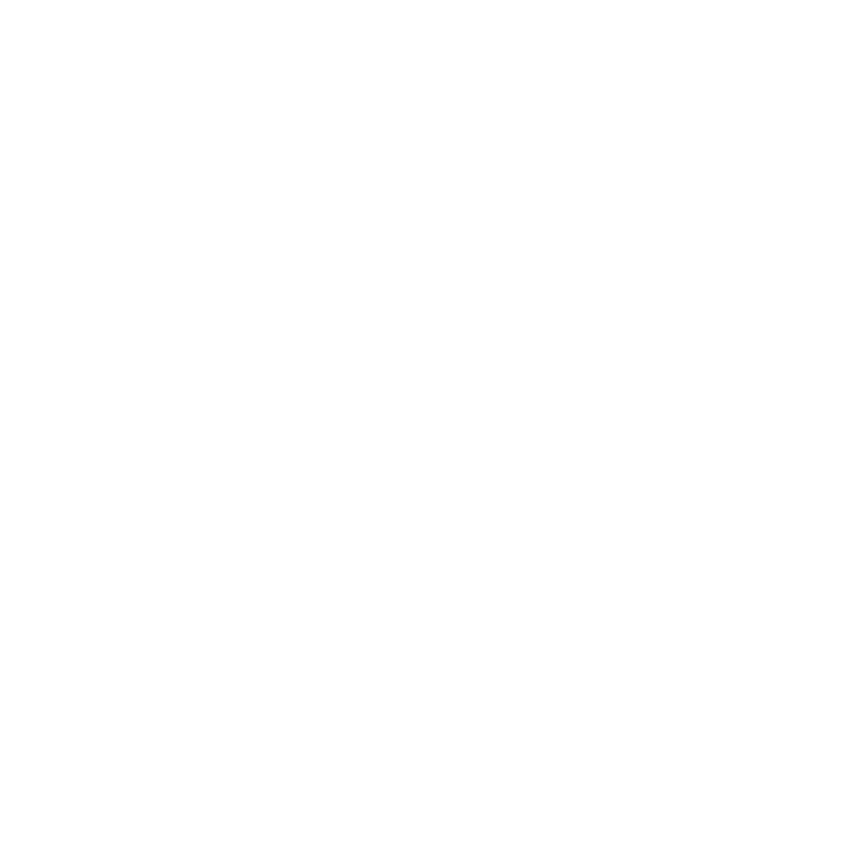 ruya 